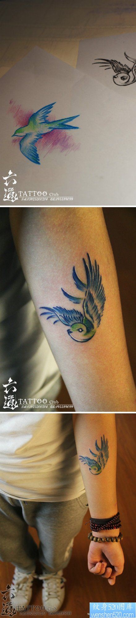 女人手臂彩色小燕子纹身图片