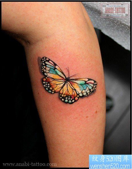 手臂女人喜欢的彩色蝴蝶纹身图片