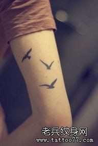 女人手臂小海鸥纹身图片