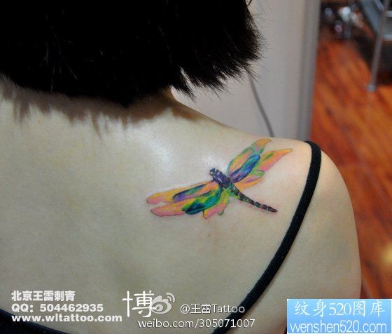 女人肩背漂亮的彩色小蜻蜓纹身图片
