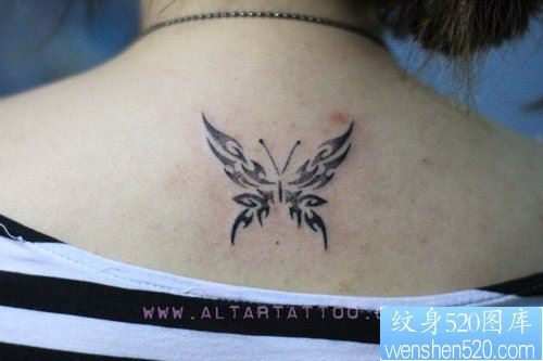女孩子背部唯美流行的蝴蝶纹身图片
