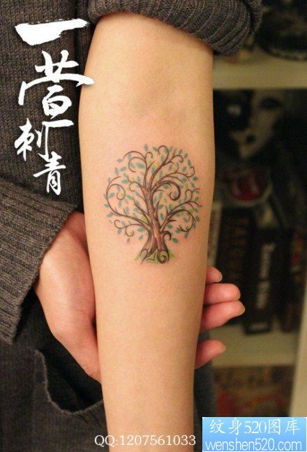 女人手臂小巧潮流的小树纹身图片