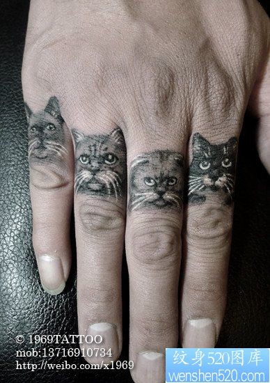 男人手指可爱潮流的猫咪纹身图片