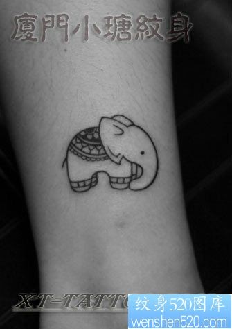 女人腿部潮流精美的小象纹身图片