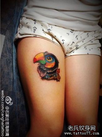 美女腿部可爱潮流的大嘴鸟纹身图片