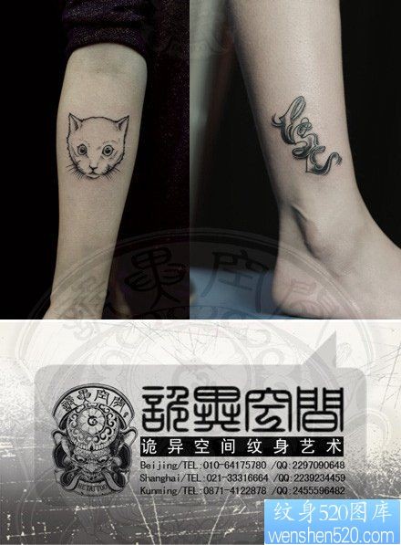 女人手臂可爱流行的猫咪纹身图片