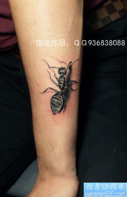 男人手臂可爱潮流的小蚂蚁纹身图片