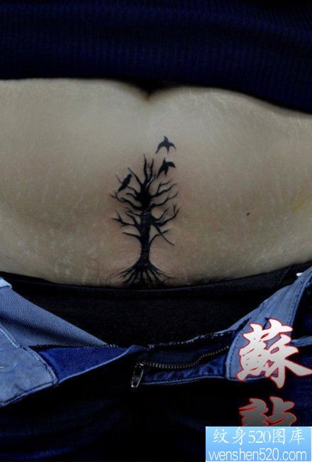女性腹部潮流流行的小树与小鸟纹身图片