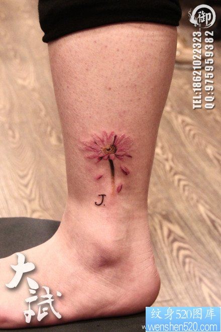 女人腿部小巧潮流的邹菊纹身图片