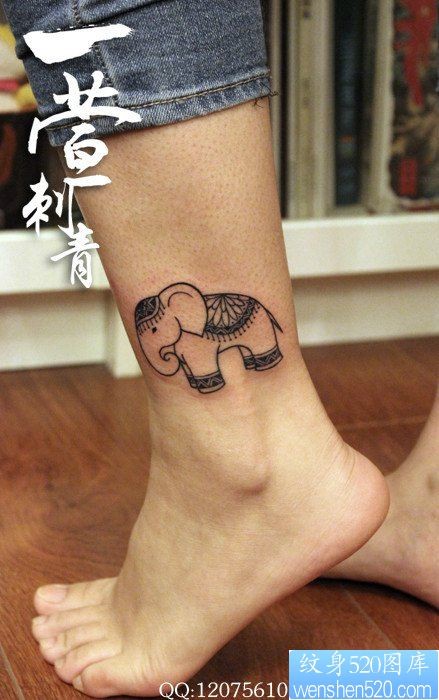 女人腿部流行唯美的小象纹身图片