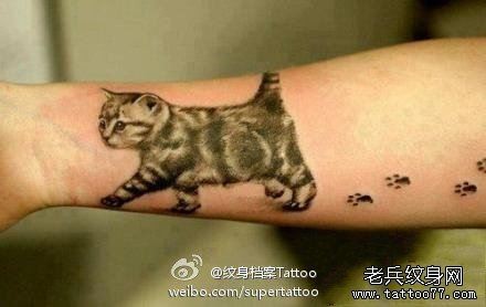 女人手臂小巧可爱的猫咪纹身图片