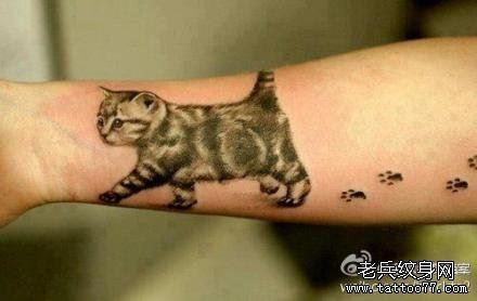 手臂可爱小巧的猫咪纹身图片