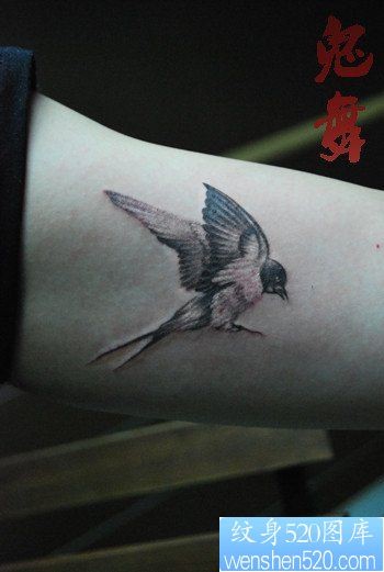 女人手臂黑灰小燕子纹身图片