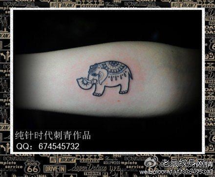 女人腰部可爱流行的小象纹身图片