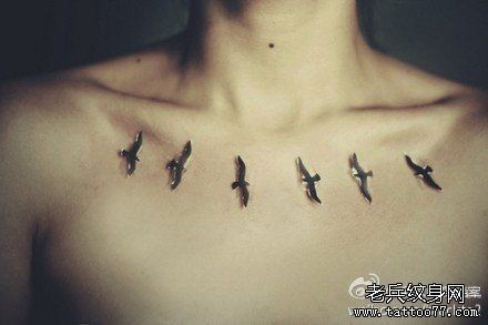 女人前胸潮流流行的小鸟纹身图片