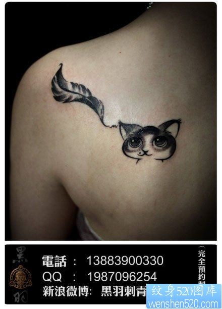 肩背可爱小巧的猫咪纹身图片