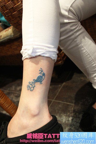 女人腿部可爱的小孔雀纹身图片