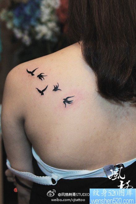 女人肩背小巧潮流的图腾小燕子纹身图片