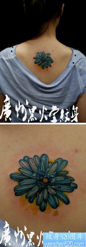 女人后背时尚唯美的小菊花纹身图片