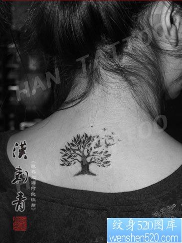女人后背小巧时尚的小树纹身图片