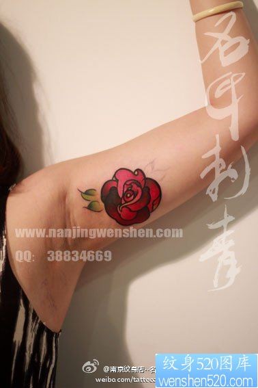 女人手臂内侧一幅小巧唯美的小玫瑰纹身图片