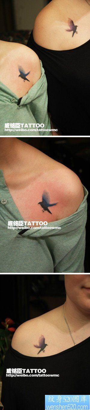 女人肩膀处小巧时尚的小鸽子纹身图片