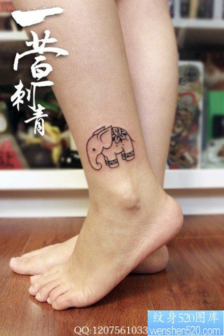 女人腿部流行可爱的小象纹身图片