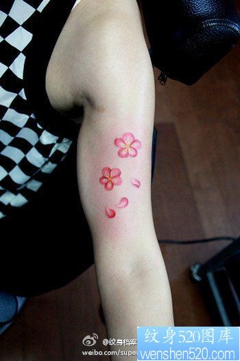 女人手臂时尚潮流的小花卉纹身图片