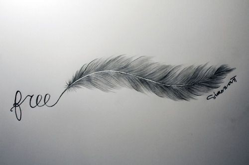 一张唯美漂亮的羽毛英文纹身