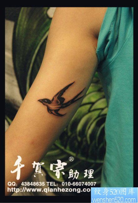 女人手臂内侧小巧时尚的燕子纹身图片