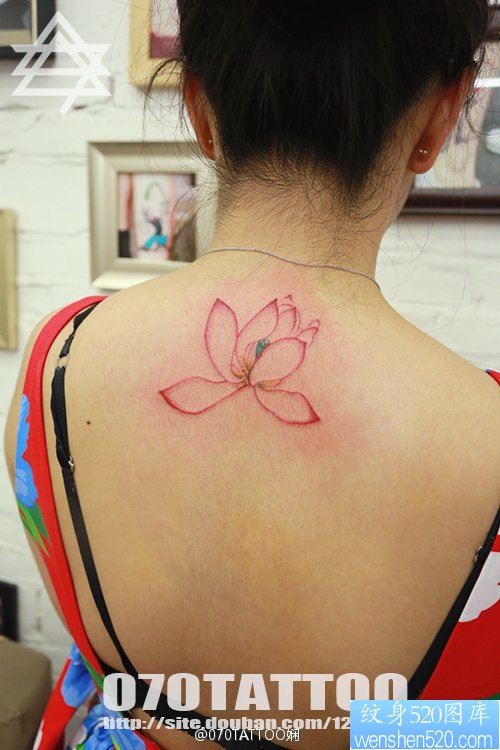 美女后背上的一幅简约老莲花纹身图片