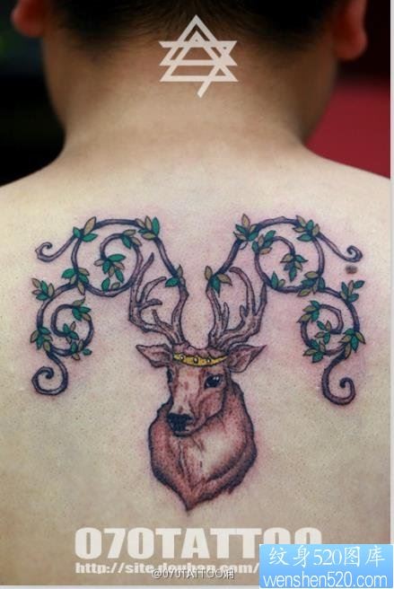 一幅个性的后背鹿纹身图片