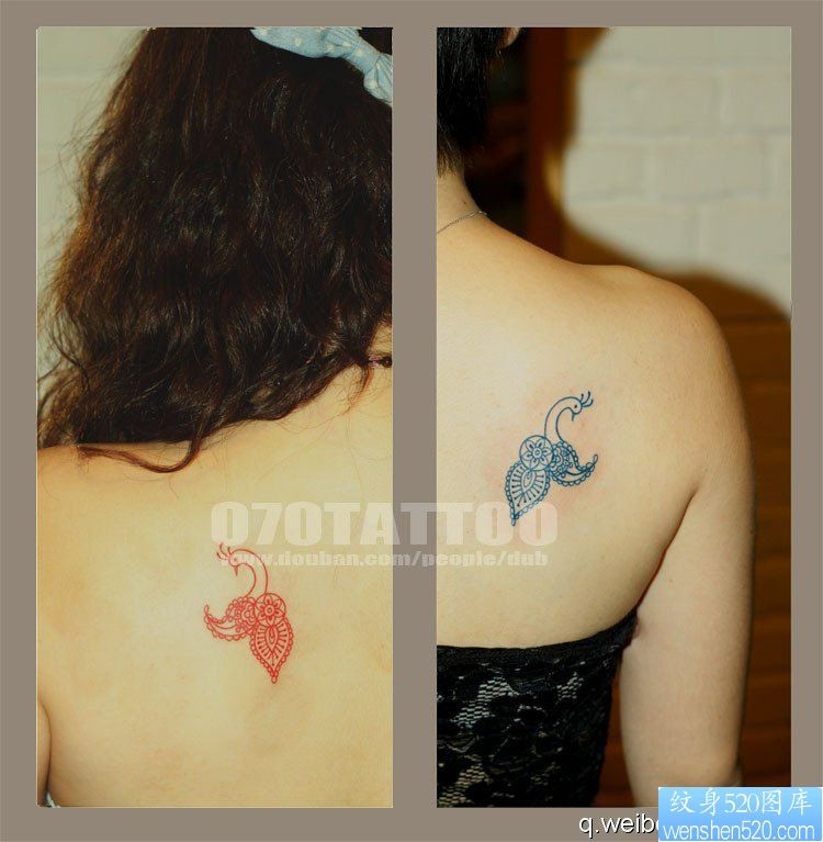 美女后背的一幅精致小孔雀纹身图片
