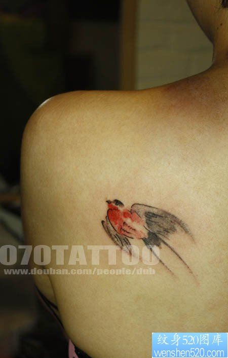 美女后背一幅潮流的水母燕子纹身图片