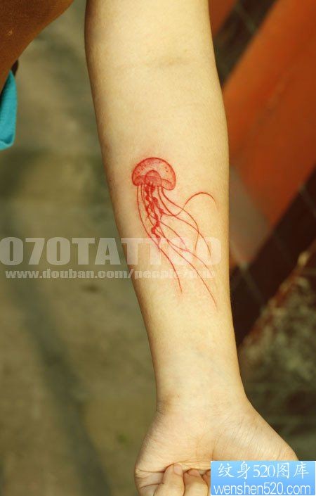 小臂上一幅潮流漂亮的水母纹身图片