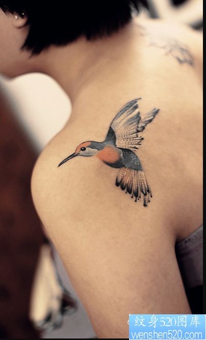 一幅女人肩背小蜂鸟纹身图片由纹身图库推荐
