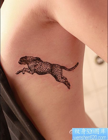 一幅女人侧腰小豹子纹身图片由纹身520图库推荐