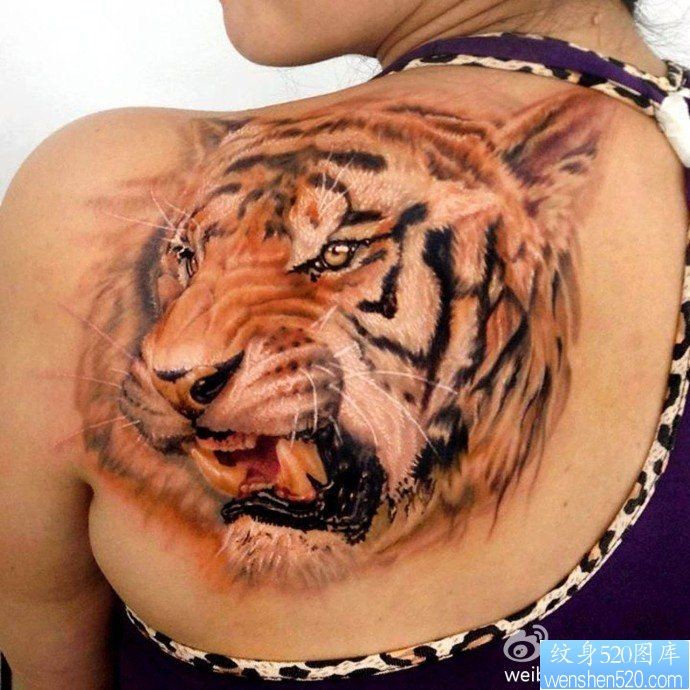 一幅女人肩部老虎纹身图片有纹身520图库推荐