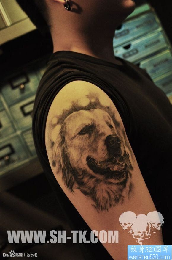 男生胳膊宠物狗纹身图片