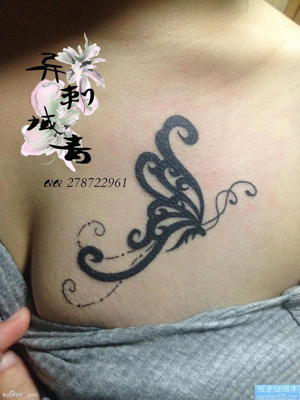 女人胸部蝴蝶纹身图片