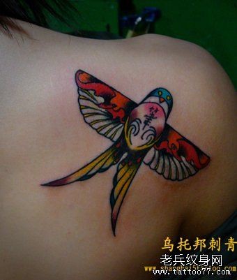 女人肩部好看的蝴蝶凤筝纹身图片