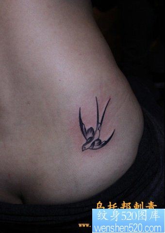 腰部可爱的小燕子纹身图片
