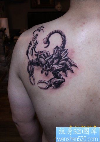 男生肩部一幅蝎子纹身图片