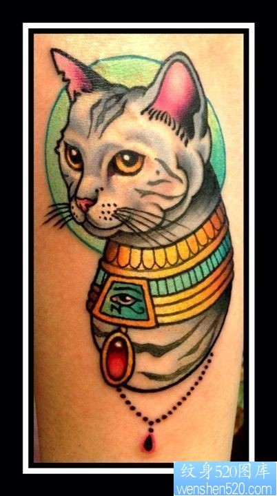 纹身520图库推荐一幅彩色猫咪纹身图片