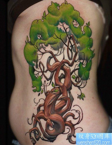 腰部彩色树纹身图片