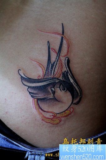 腰部好看的燕子纹身图片