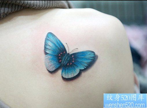 女人肩背蝴蝶纹身图片