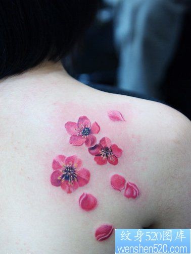 女人肩背梅花纹身图片