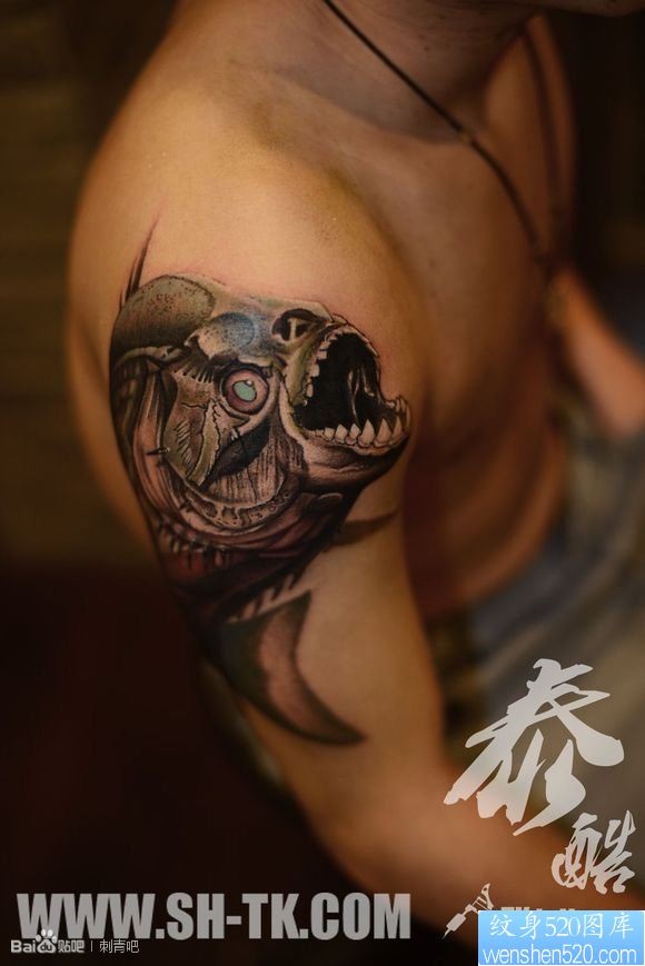 男生胳膊鲨鱼（2）纹身图片