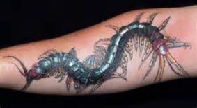 手臂蜈蚣纹身图案